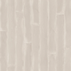 Линолеум бытовой Tarkett Caprice EVERETT 1 Линолеум бытовой Tarkett Caprice EVERETT 1